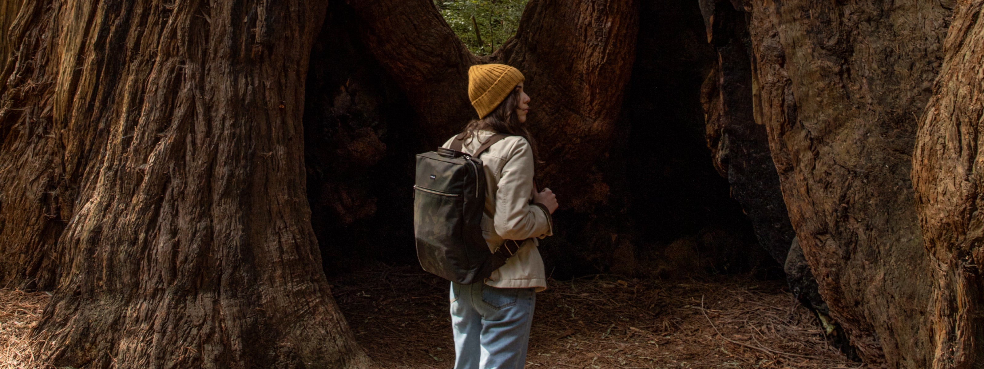 Backpacks