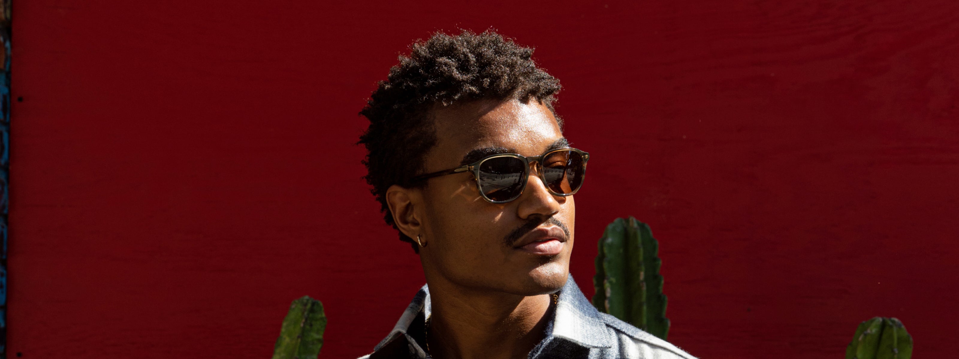 Polarized Sunglasses